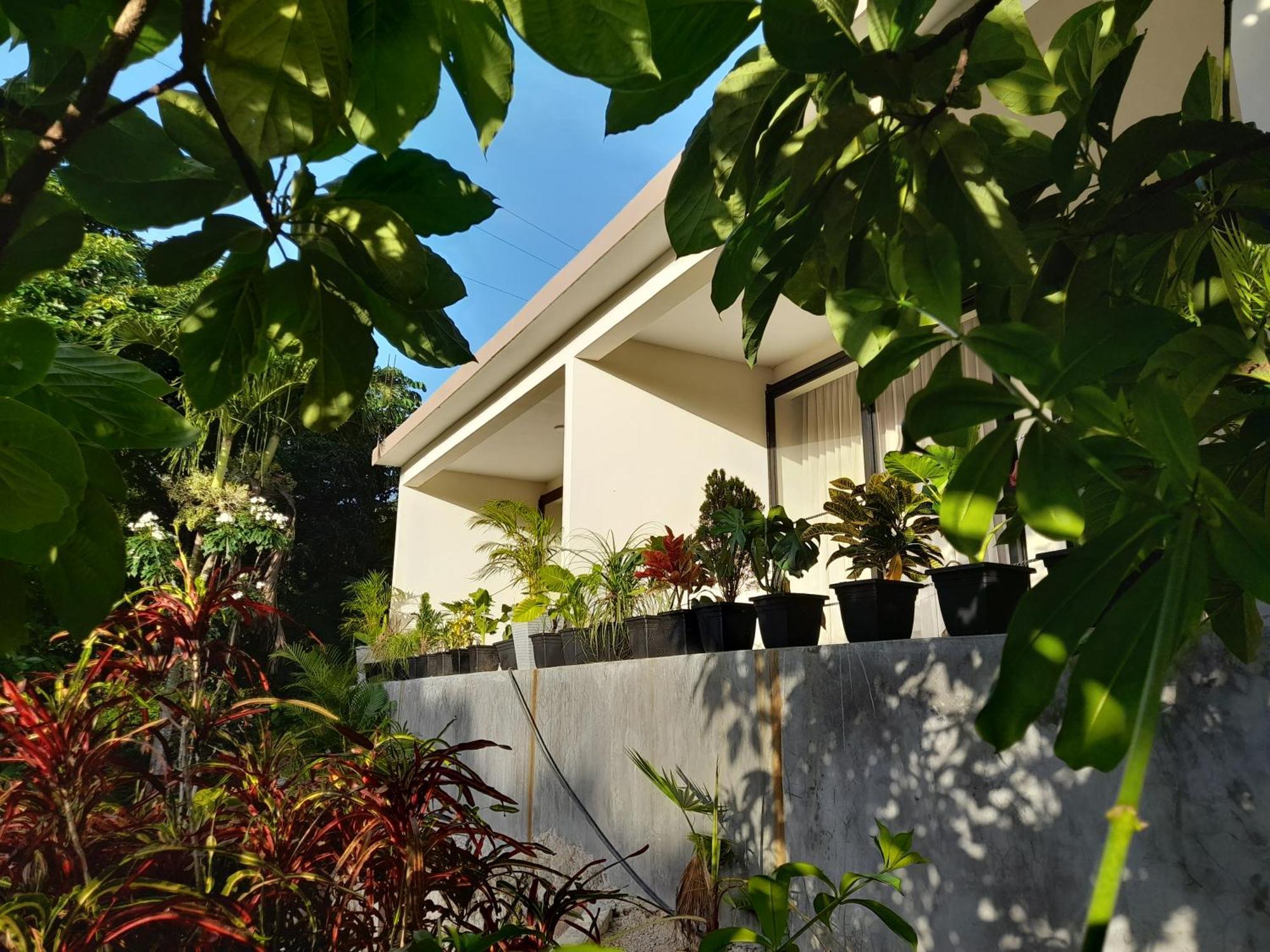 Nyia Boutique Hotell El Curval Exteriör bild